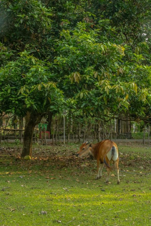 Lendang Eco Lodge Senggigi Eksteriør bilde