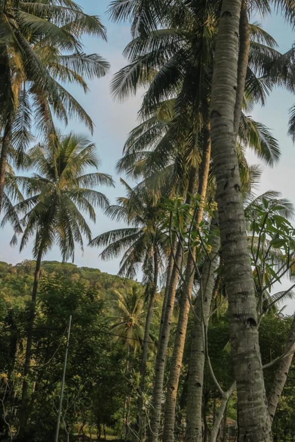 Lendang Eco Lodge Senggigi Eksteriør bilde