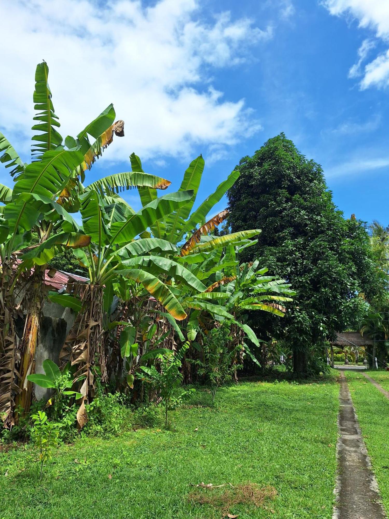 Lendang Eco Lodge Senggigi Eksteriør bilde