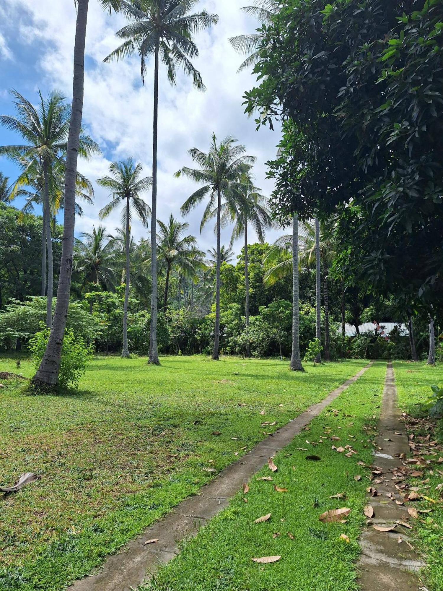 Lendang Eco Lodge Senggigi Eksteriør bilde