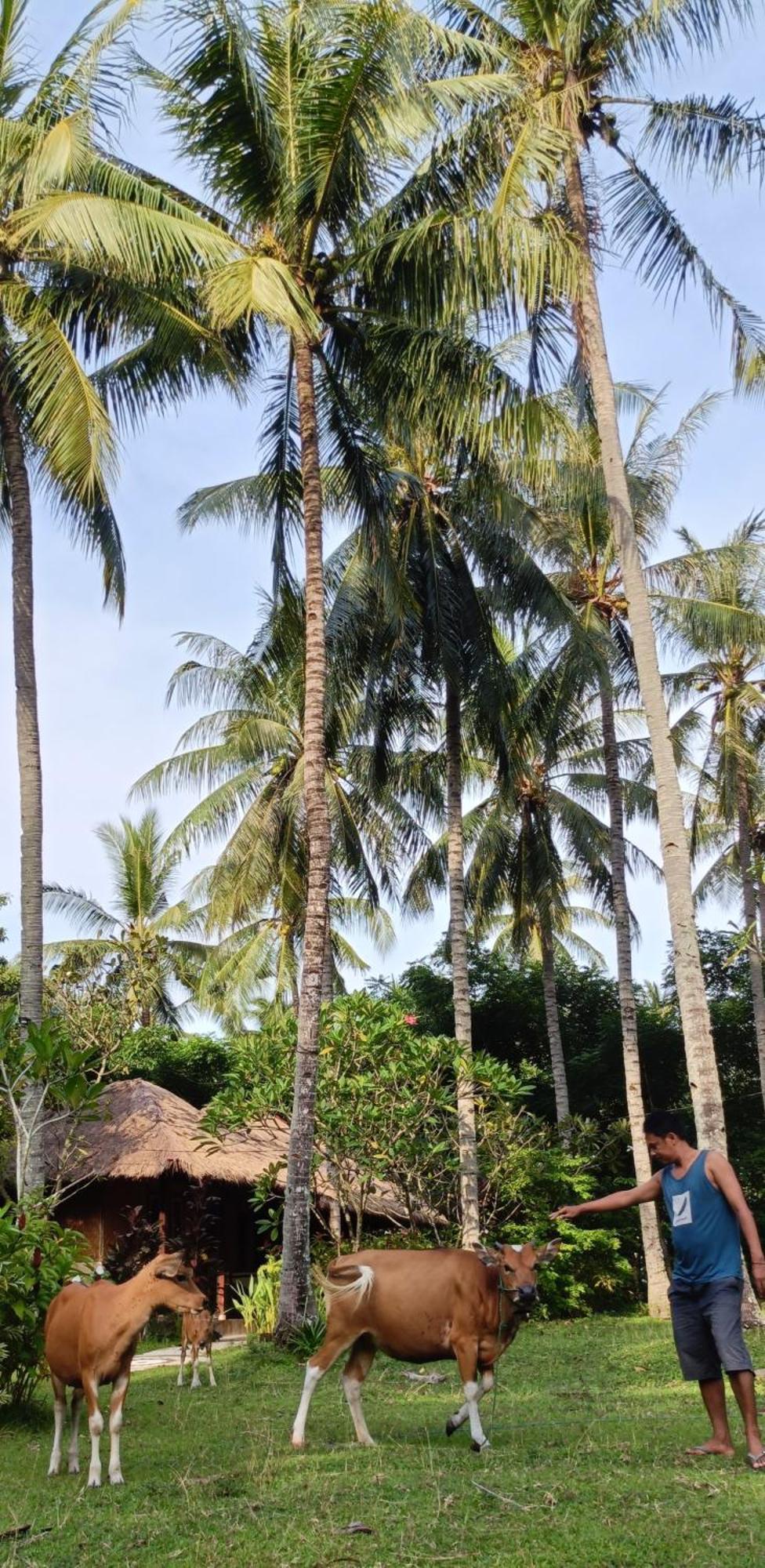 Lendang Eco Lodge Senggigi Eksteriør bilde