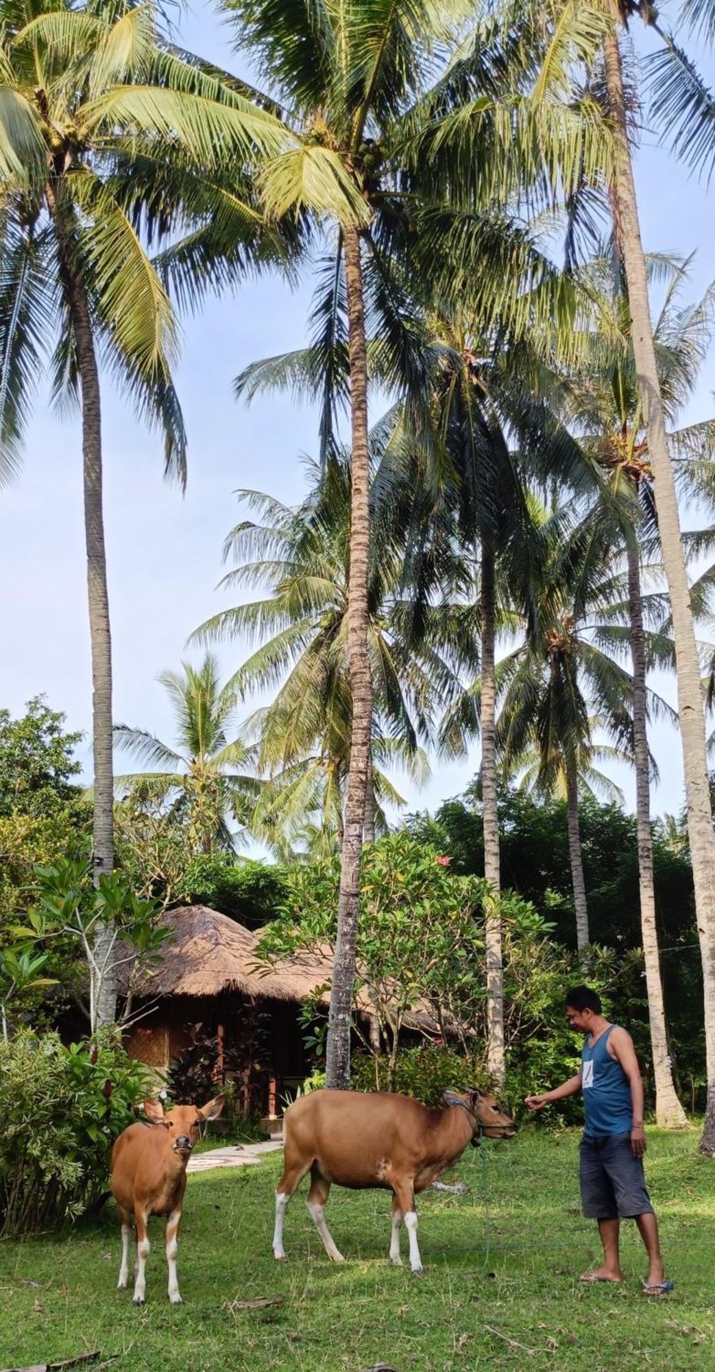 Lendang Eco Lodge Senggigi Eksteriør bilde