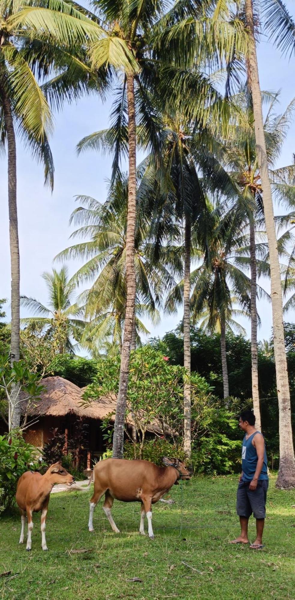 Lendang Eco Lodge Senggigi Eksteriør bilde