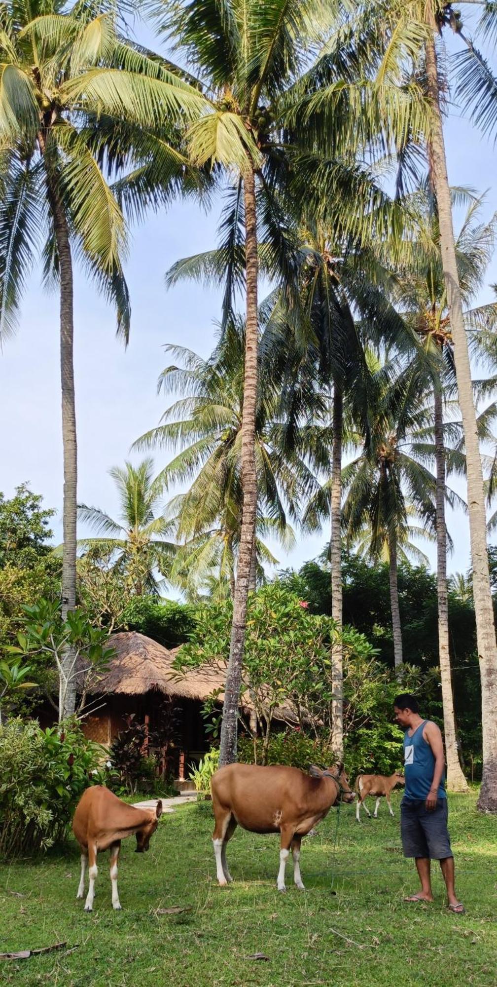 Lendang Eco Lodge Senggigi Eksteriør bilde